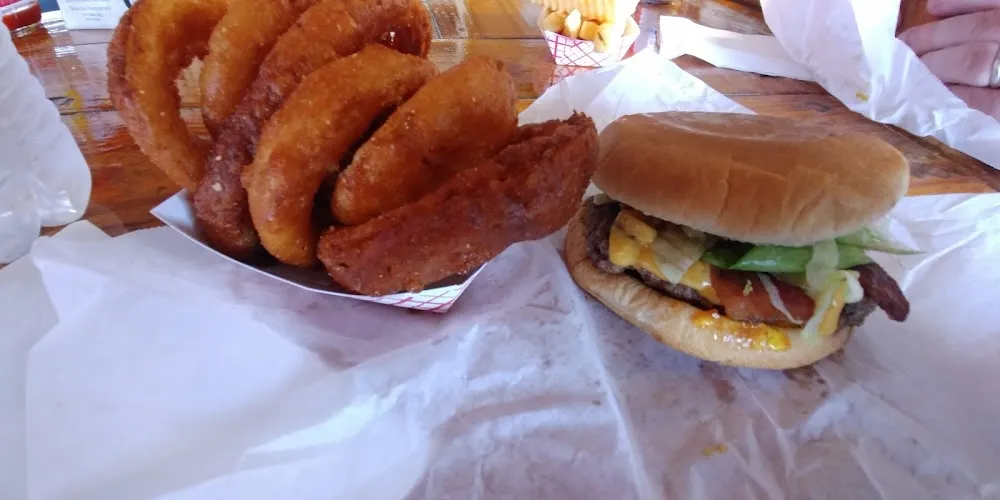 Garden Burger and Onion Rings